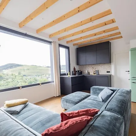 Moderne Atelierwohnung, Blick Auf Und Skigebiet 아파트
