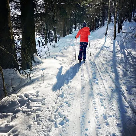 Apartment Moderne Atelierwohnung, Blick Auf Und Skigebiet Winterberg