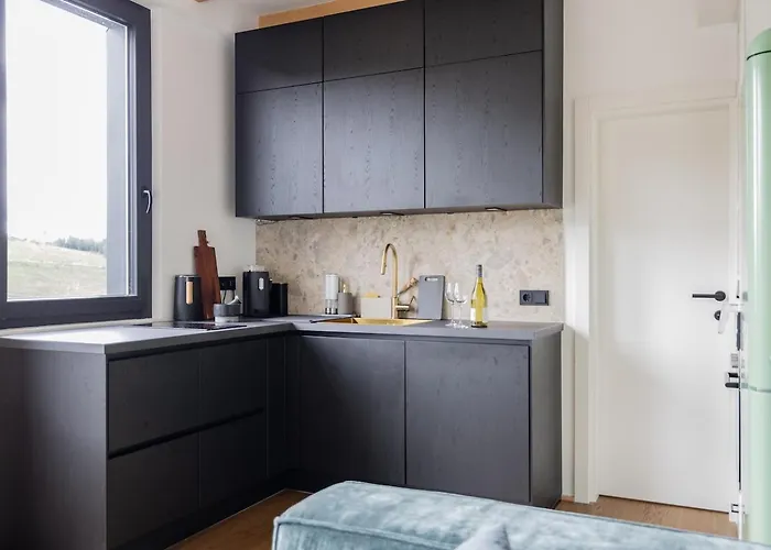 Moderne Atelierwohnung, Blick Auf Und Skigebiet 빈터베르크