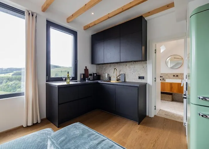 Διαμέρισμα Moderne Atelierwohnung, Blick Auf Und Skigebiet Βίντερμπεργκ